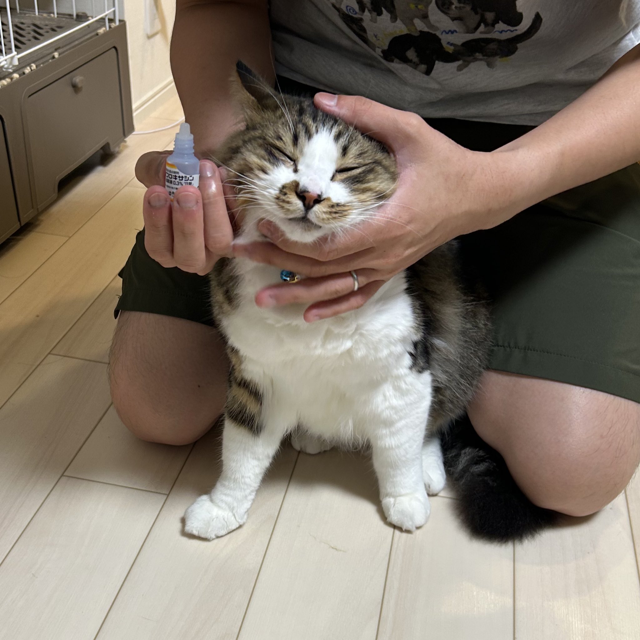 さっちゃん (@sacchi0723) • Instagram photos and videos