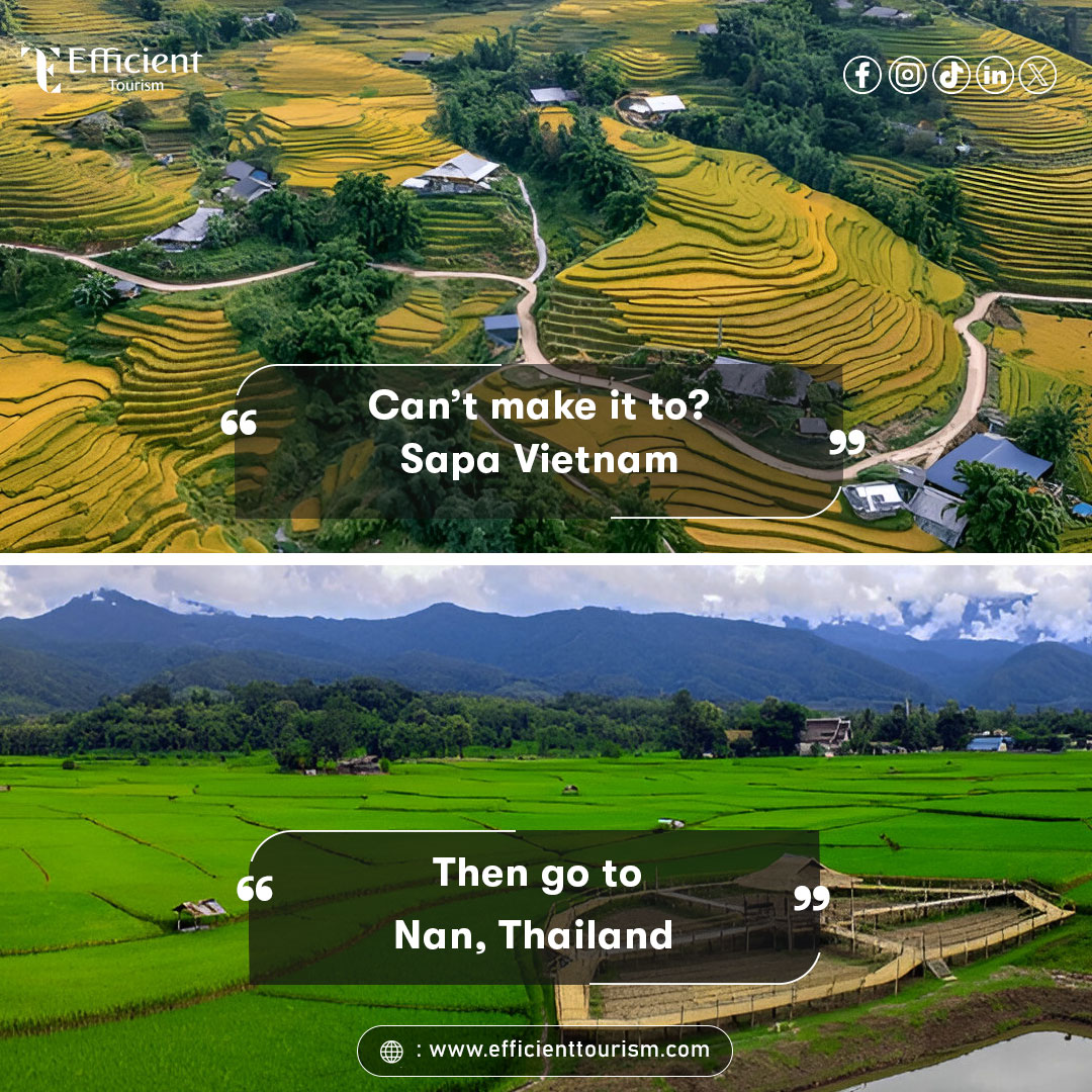 "Every adventure leads to Thailand 🇹🇭✨
Ready to explore? Type 'guide' and unlock my all-in-one Thailand travel guide – featuring:
📍 1 interactive map
🌴 Hidden gems
🧭 Curated itineraries
♻ Monthly updates
✅ Lifetime access
Your Thailand trip, fully sorted!"