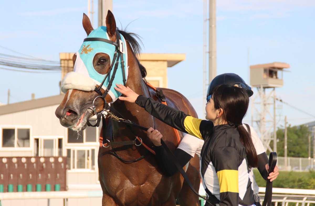 がんばれ！ホッカイドウ競馬 on X: 