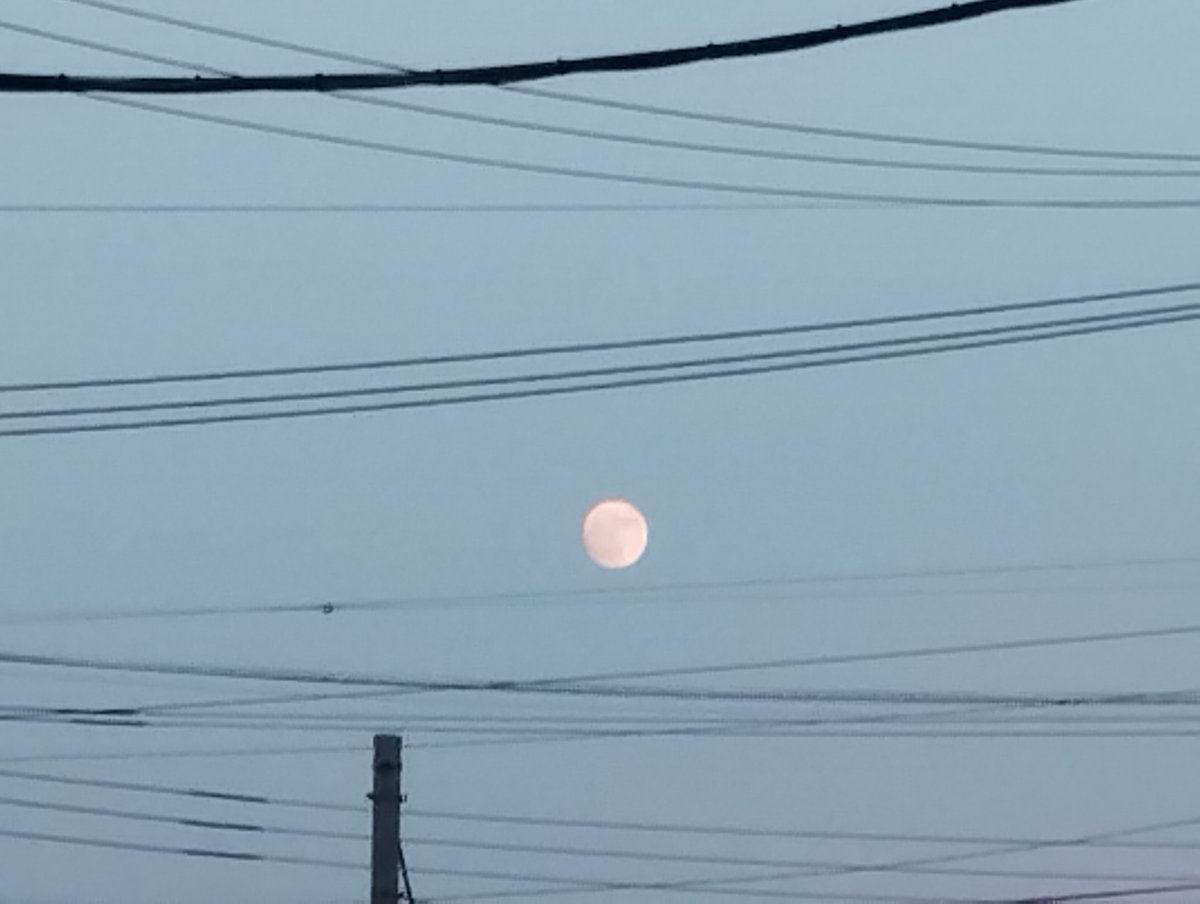 ayatea2241's tweet image. #イマソラ #いまそら 

月が白い丸🌝
