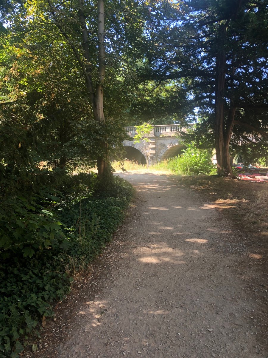 Stephen Stallard tweet media