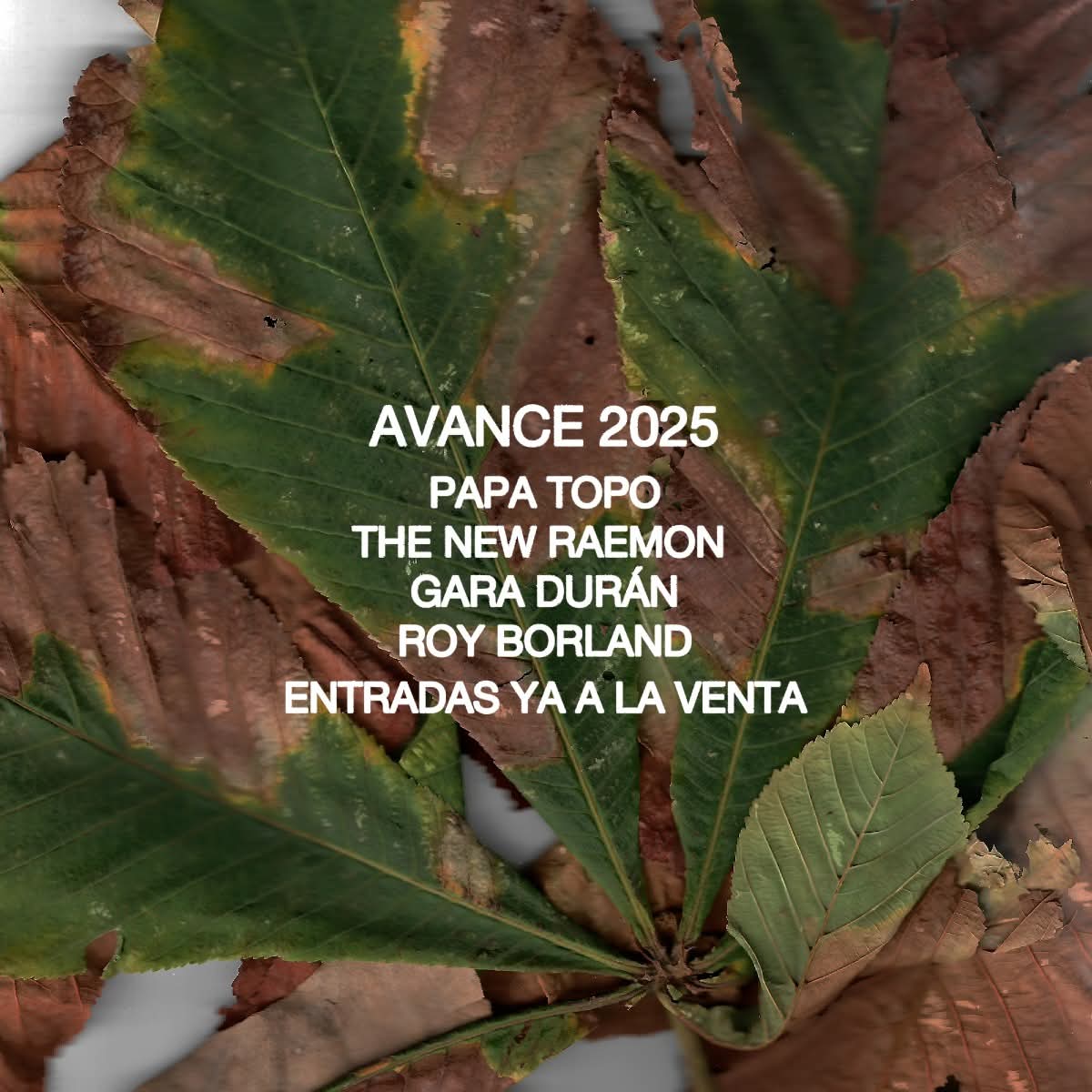 Vuelve CICLOGÉNESIS 😀 Una nueva edición de nuestro ciclo de conciertos 🍂

🎟️ ¡Entradas ya a la venta! cooperativaitaca.es/ciclogenesis/

📍 The New Raemon – 20 sep
📍 Roy Borland – 26 sep
📍 Gara Durán – 27 sep
📍 Papa Topo – 4 oct