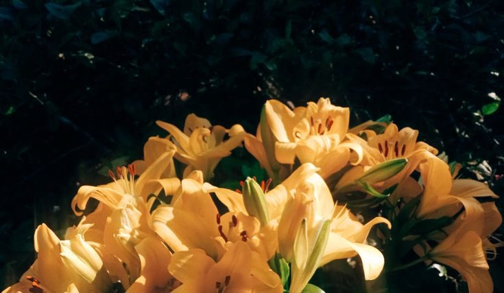 prettythikra's tweet image. 