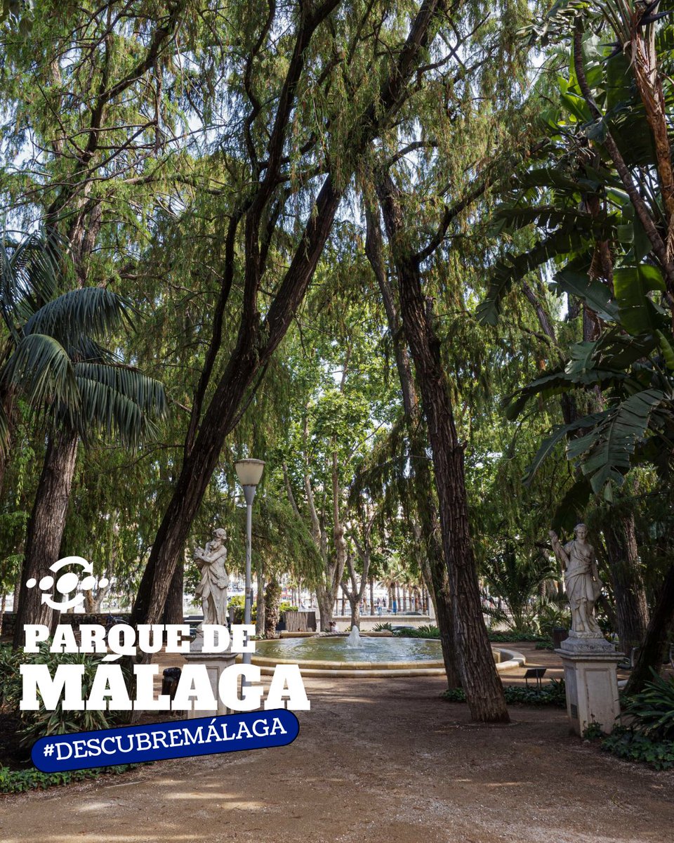 El Parque de Málaga es un pulmón verde en el centro de la ciudad, ideal para pasear en verano ✨

Todas las líneas con parada en Paseo del Parque (1, 3, 4, 8, 11, 14, 19, 21, 23, 25, 31, 32, 33, 34, 35, 37, 38) te dejan al lado 🚌

#DescubreMálaga #EMTMálaga