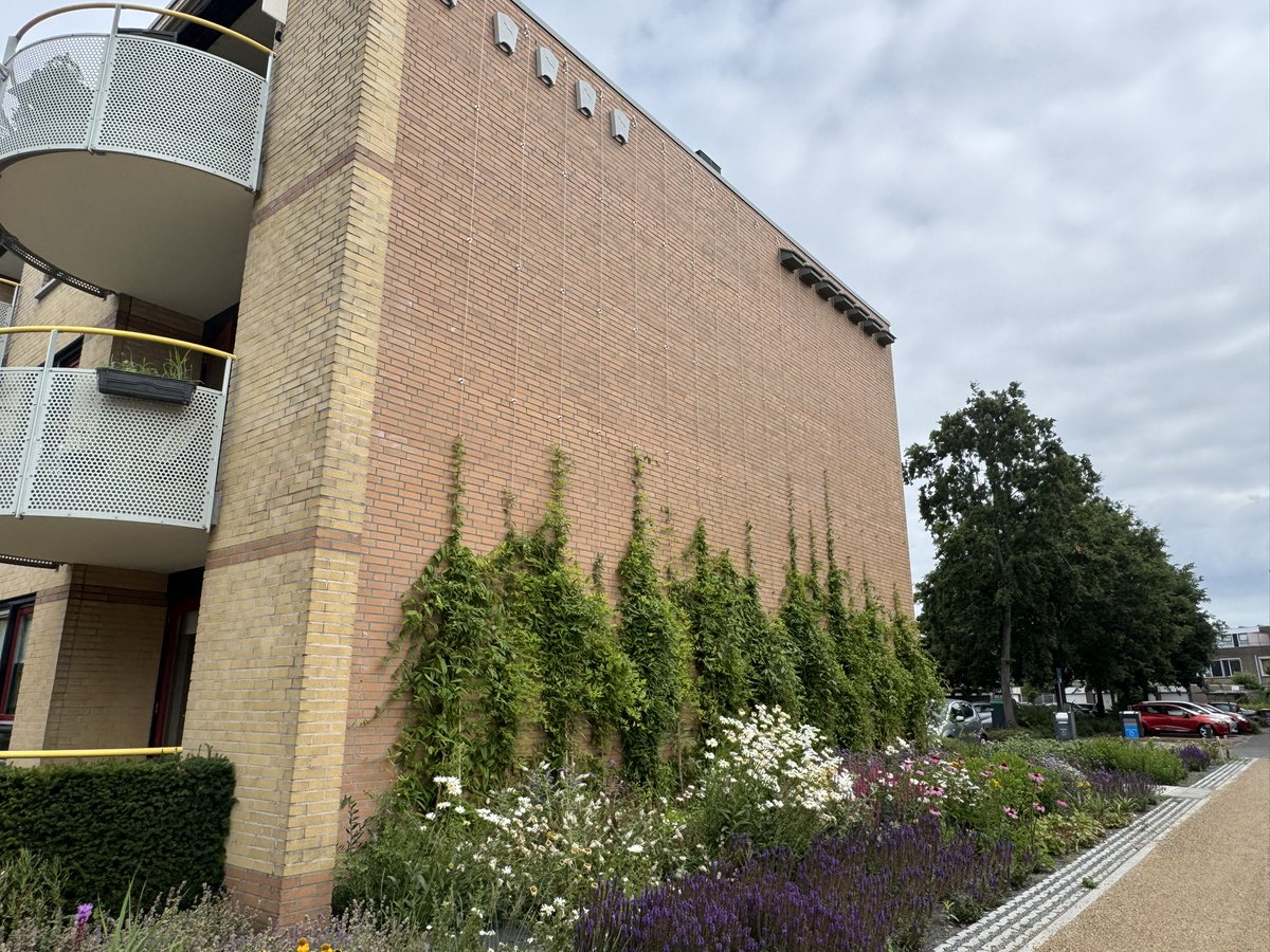 Zo ziet het ‘Groene Icoon’ er nu uit! Werkelijk een metamorfose t.o.v. het stenen plein wat de Veldhoeve daarvoor was😊 <a href="/gem_Hattem/">Gemeente Hattem</a> <a href="/TjitskeSiderius/">Tjitske Siderius</a> <a href="/rtvhattem/">RTV Hattem</a>