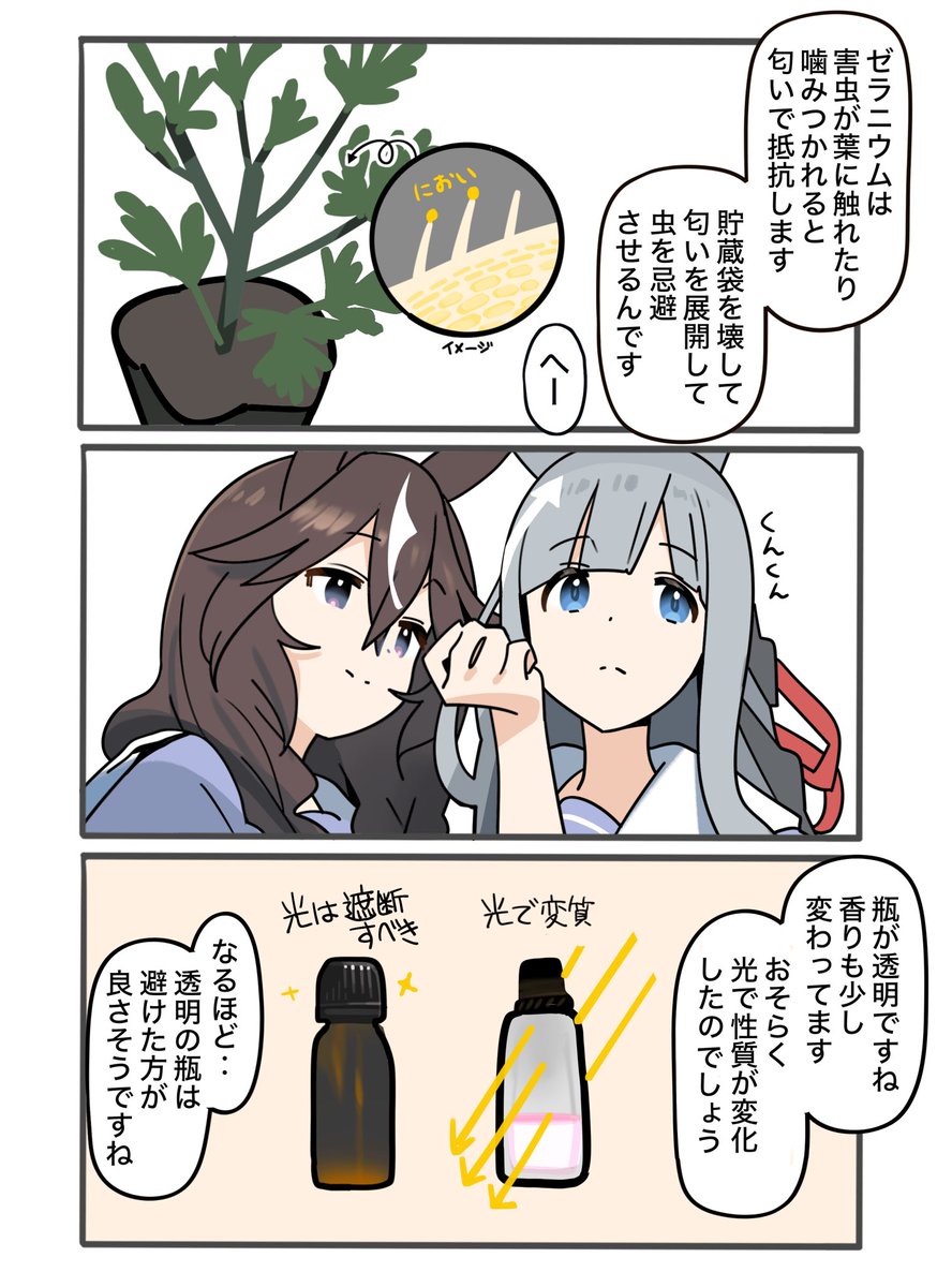 カレンブーケドールちゃんとお花シリーズ
香り

#カレンブーケドール
#クロノジェネシス
#ウマ娘
#カレンブーケドールちゃんとお花 
