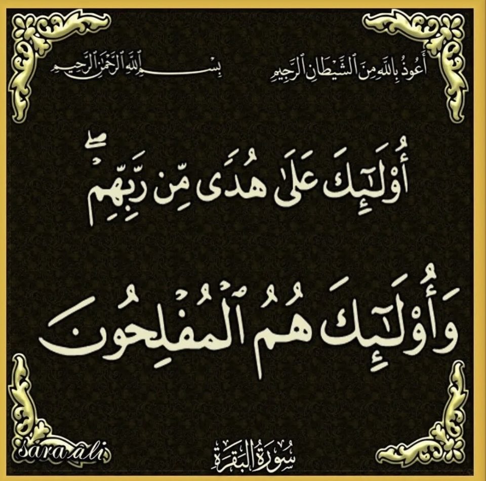 ساره (@sarasaman8) on Twitter photo 