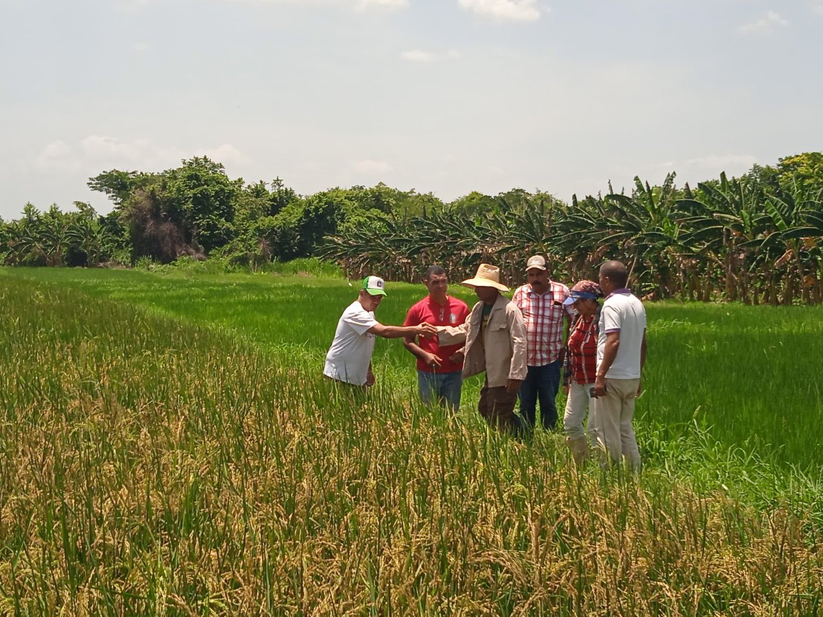 Con el esfuerzo de todos #Contramaestre #SantiagoDeCuba