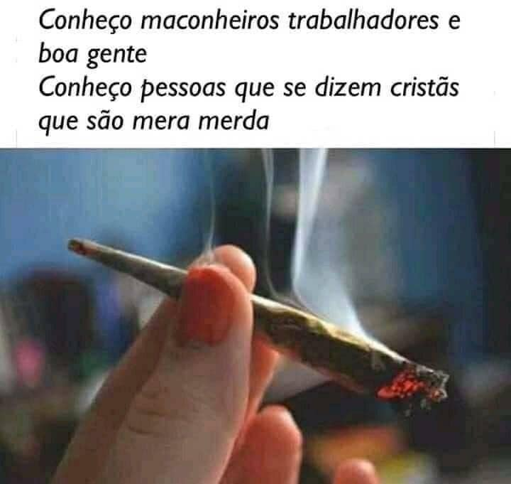 Chapo Do Chong (@chapodochong) on Twitter photo 