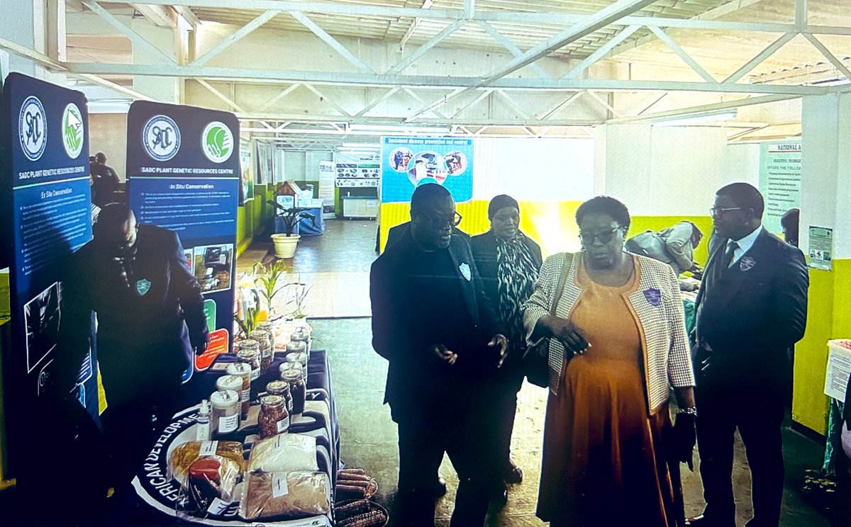 SADC_News's tweet image. Happy to have participated at the 2025 #ZambiaInternationalTradeFair from 2-8 July under the theme: “𝘌𝘯𝘩𝘢𝘯𝘤𝘪𝘯𝘨 𝘉𝘶𝘴𝘪𝘯𝘦𝘴𝘴 𝘙𝘦𝘴𝘪𝘭𝘪𝘦𝘯𝘤𝘦 𝘵𝘩𝘳𝘰𝘶𝘨𝘩 𝘐𝘯𝘯𝘰𝘷𝘢𝘵𝘪𝘰𝘯 &𝘛𝘳𝘢𝘥𝘦, where we highlighted our work in SADC Plant Genetic resource conservation