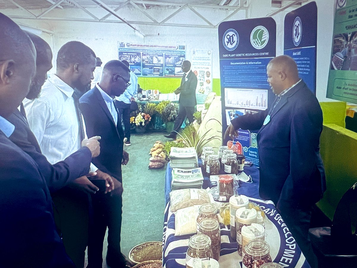 SADC_News's tweet image. Happy to have participated at the 2025 #ZambiaInternationalTradeFair from 2-8 July under the theme: “𝘌𝘯𝘩𝘢𝘯𝘤𝘪𝘯𝘨 𝘉𝘶𝘴𝘪𝘯𝘦𝘴𝘴 𝘙𝘦𝘴𝘪𝘭𝘪𝘦𝘯𝘤𝘦 𝘵𝘩𝘳𝘰𝘶𝘨𝘩 𝘐𝘯𝘯𝘰𝘷𝘢𝘵𝘪𝘰𝘯 &𝘛𝘳𝘢𝘥𝘦, where we highlighted our work in SADC Plant Genetic resource conservation