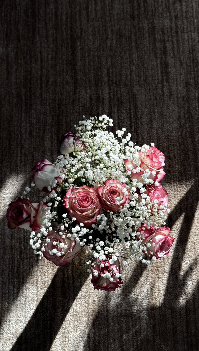 al3nudd's tweet photo. fresh flowers that recently found their way to me ⋆˚✿˖° https://t.co/rcH597zZMJ