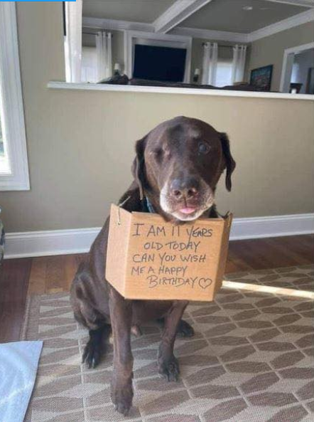 Can you wish me a happy birthday 🥺❤️