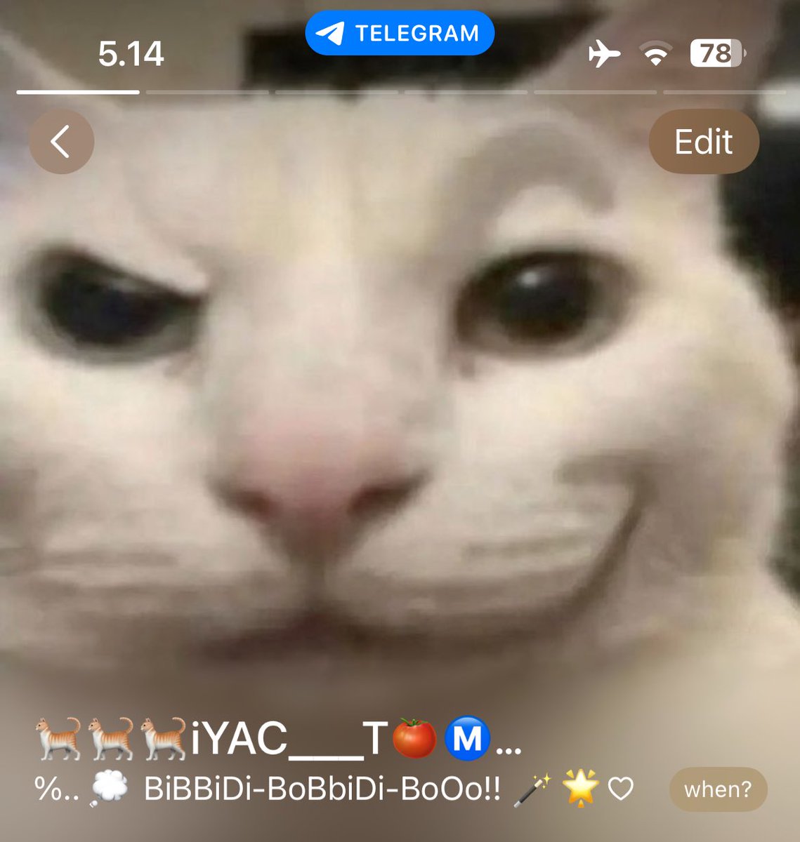 nyi___inyo!! 🧑🏻‍🎨★🖍⭐🚎♥️🍏🥯 tweet media