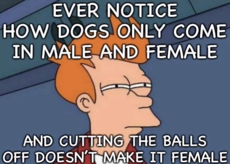 Now that you mention it…