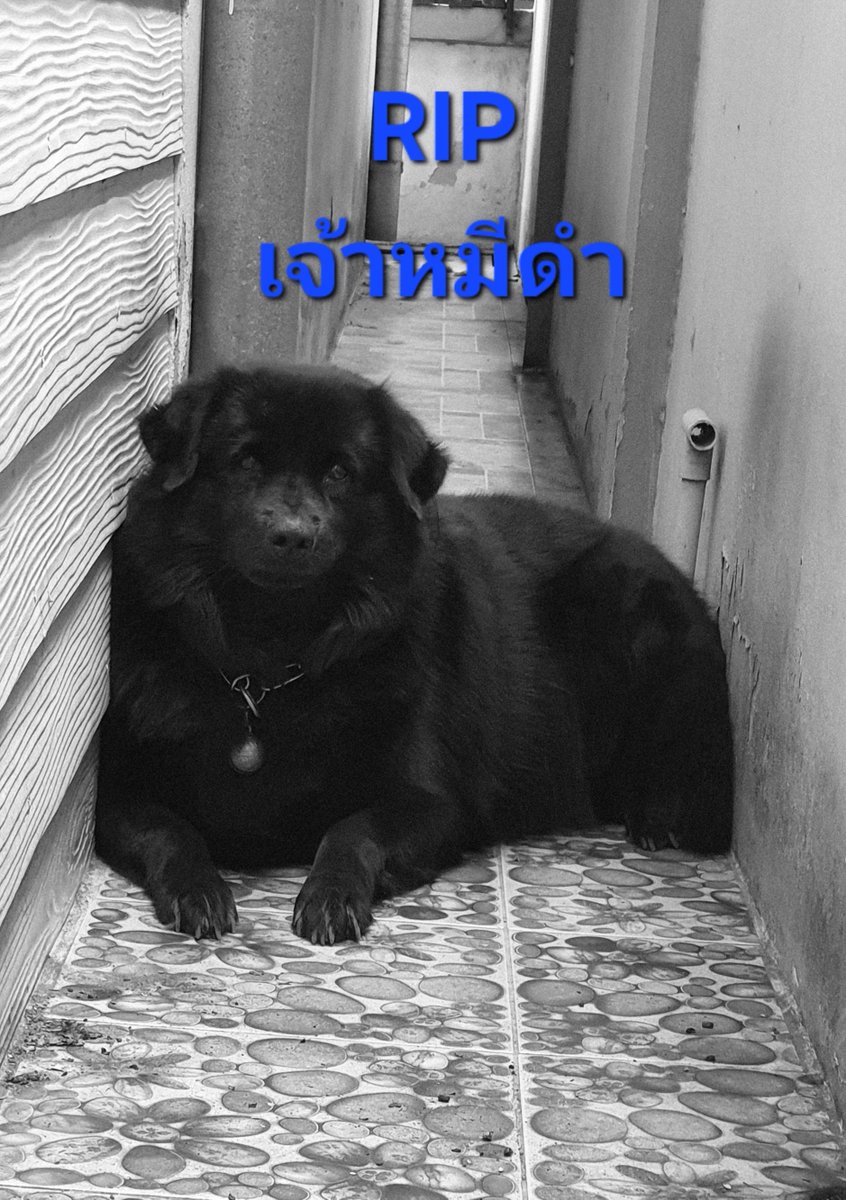 🤣🤣 ตูดนะไม่ใช่ hee จะไม่มีขรี้ได้ยังไง🤣🤣 tweet media