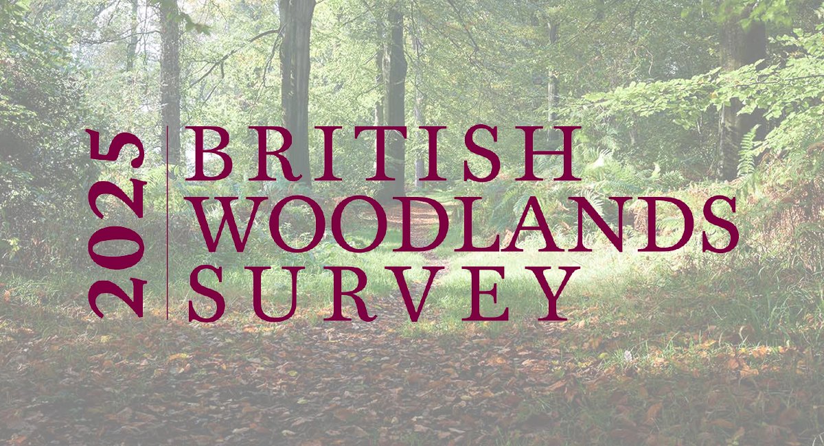 TheICF's tweet image. The #BritishWoodlandsSurvey2025 is now live!
If you're a woodland owner, manager or forestry professional, please share your experiences, hopes and fears for the future.
Take part today - the survey will close at the end of August ⬇️
charteredforesters.org/have-your-say-…