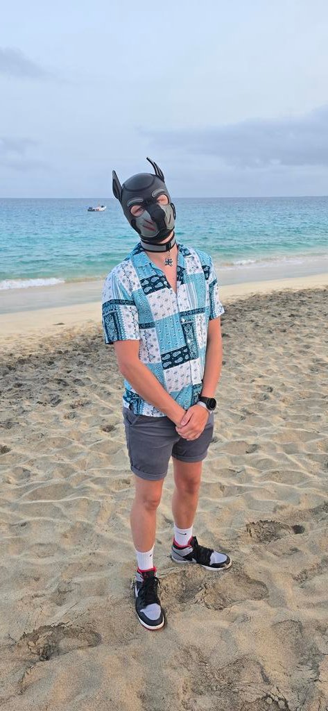 Puppy on da beach, build a sandcastle with me?