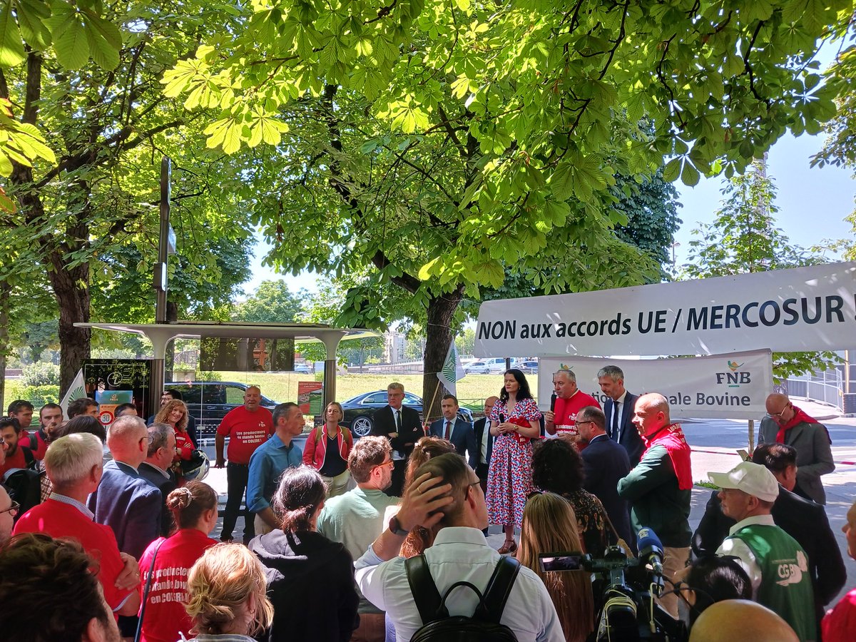 #Mercosur : les @eleveursbovins en cours de mobilisation à côté de l'ambassade du Brésil pour redire non à l'accord avec le Mercosur ! 🐂