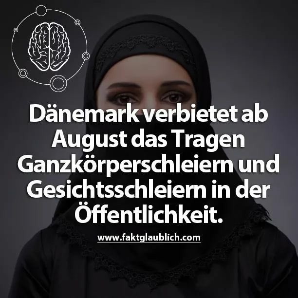 DerMedienfuzzi tweet media