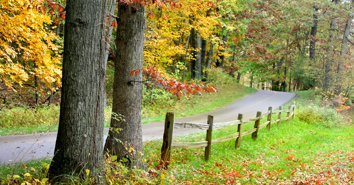ENCExplorer's tweet image. 🏞️🏀 Dive into fun at Onslow Pines County Park! 🌳 Enjoy sports fields, tennis courts, and exercise equipment for an action-packed day! #OnslowPinesAdventure #FunFilledDay rfr.bz/t5fea75