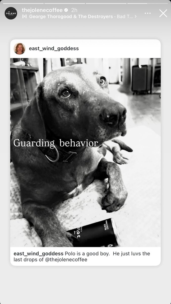 Polo helped promote Jolene Coffee via their Instagram account.