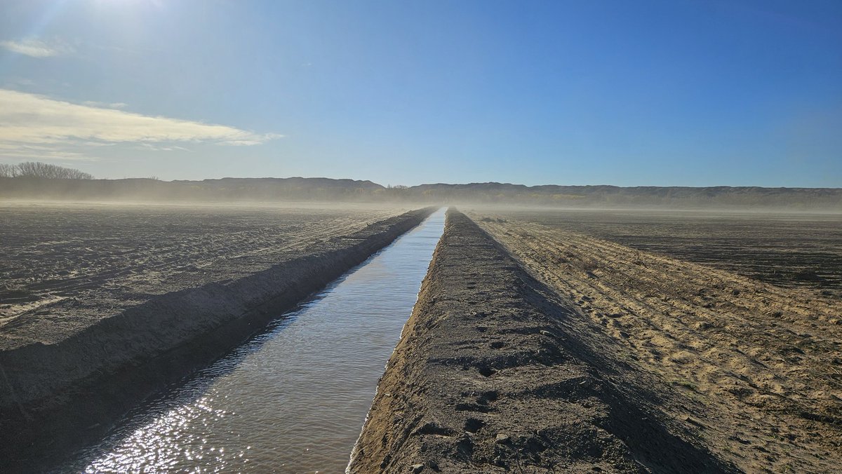 Pienso esto y me moviliza muchísimo: cuantos tn de alimento va a producir este suelo en toda su historia agrícola futura?? Un suelo en el que somos los protagonistas en darle su nacimiento, recién nivelado, con todo su potencial por la magnífica posibilidad de ahora poder regarse