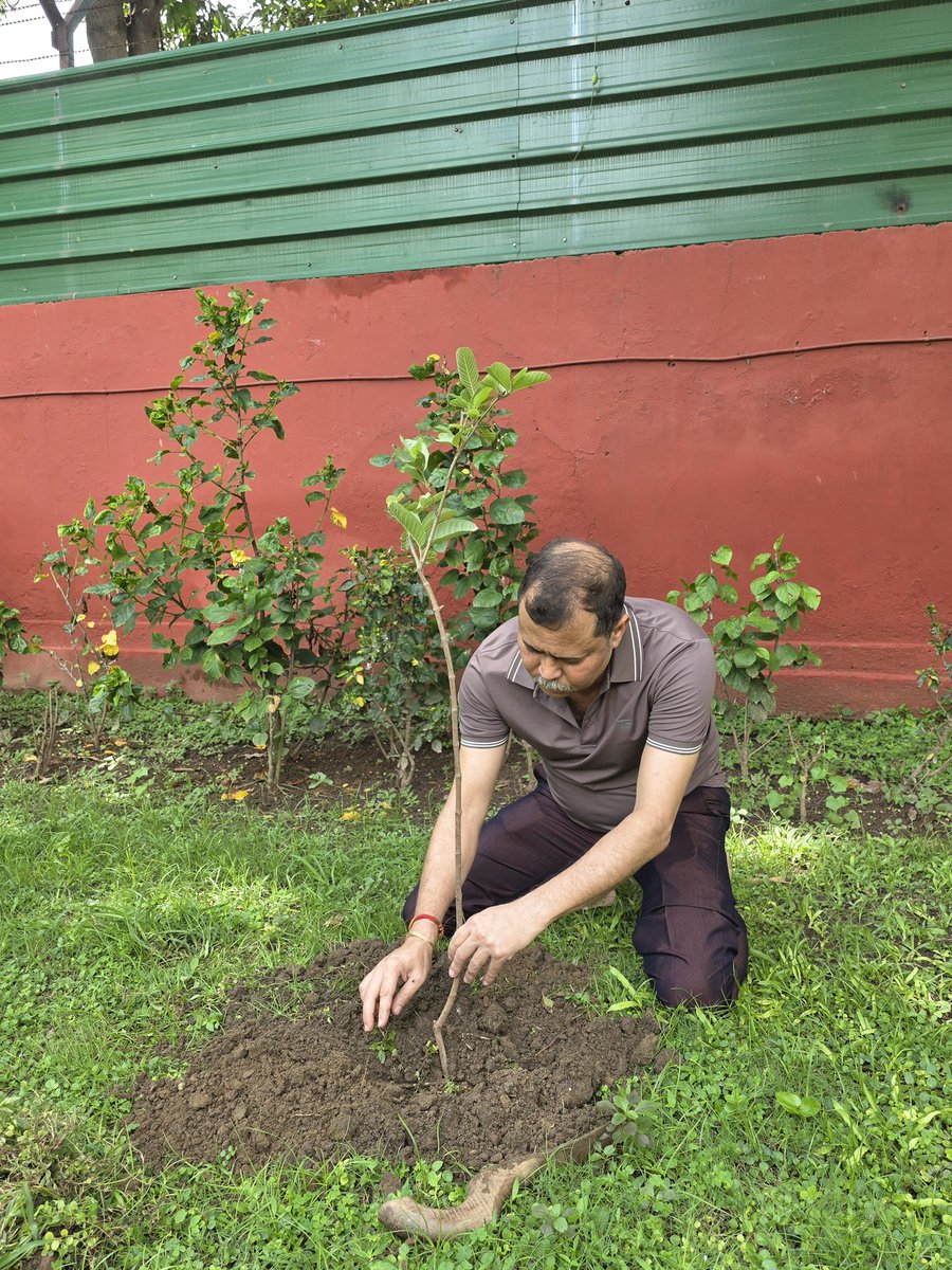 Care Luit tweet media