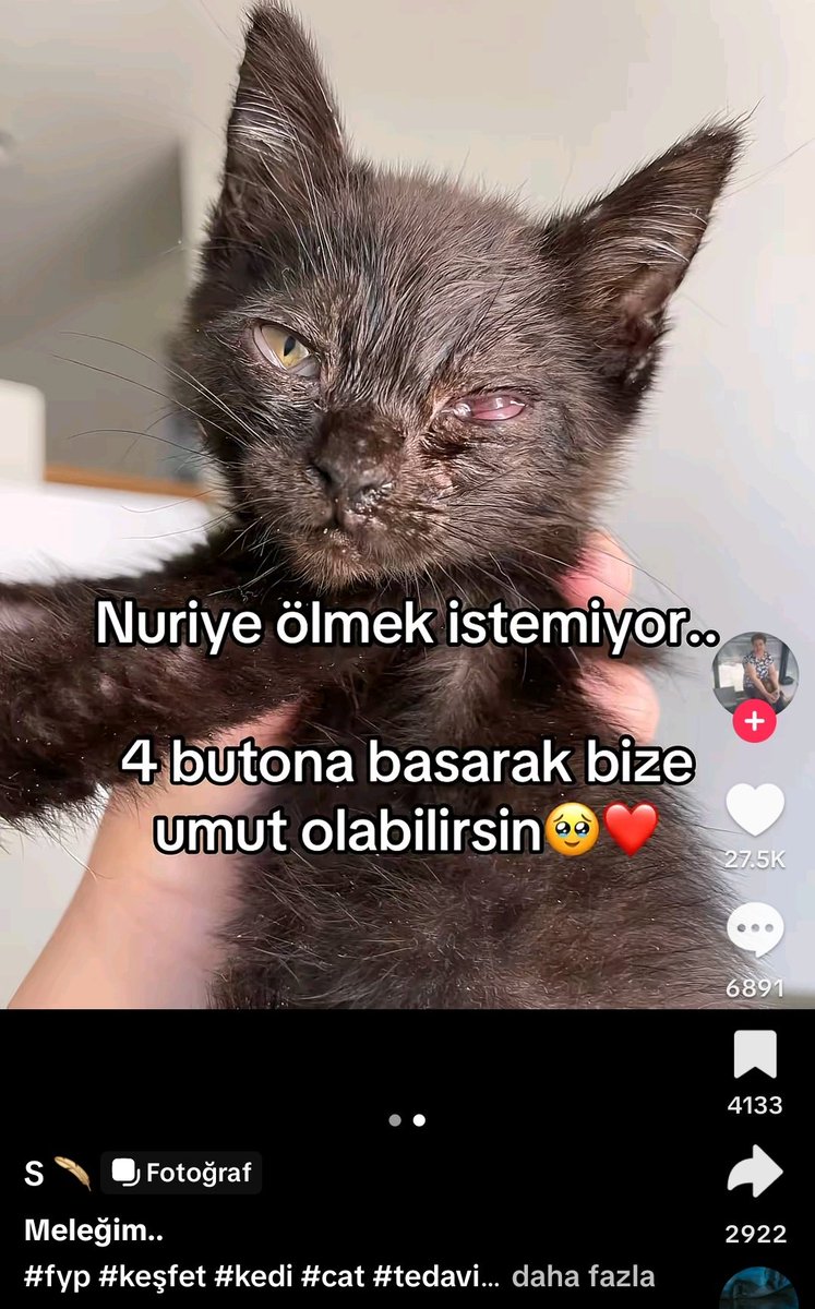 Adaned Bakamlı tweet media