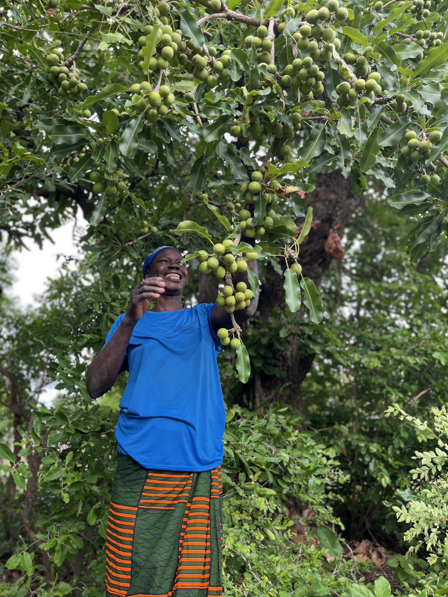 ①ニジェール②ガーナ③④ブルキナ・ファソ⑤⑥ケニア、タンザニア⑦ペルー ①ニジェール②ガーナ③④ブルキナ・ファソ⑤⑥ケニア
