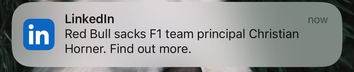EVEN LINKEDIN?!