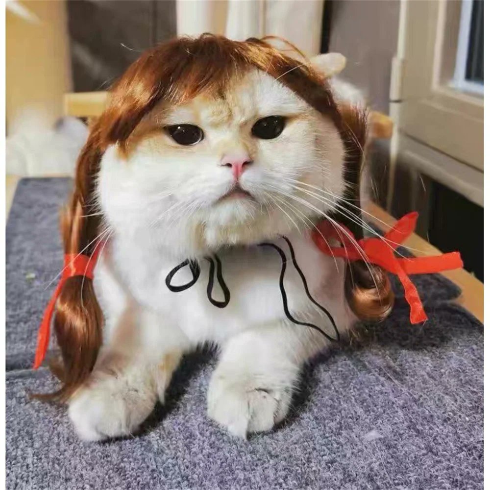 cromamba_sol's tweet photo. Make Cats Great Again 
$wig
3wfRepHXz6M1cCcRsHRzvjsj7fzzDgSnkziwotSPbonk https://t.co/VpFsWqbIjr