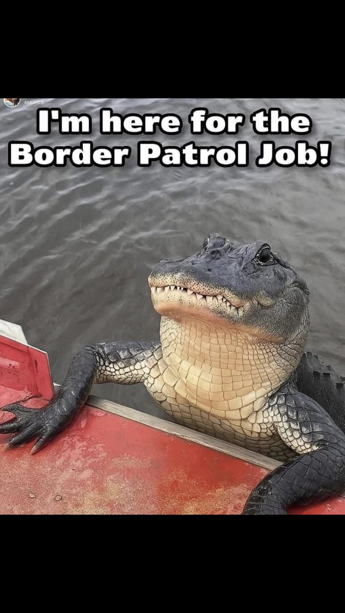 superduper0121 (@superduper0121) on Twitter photo 