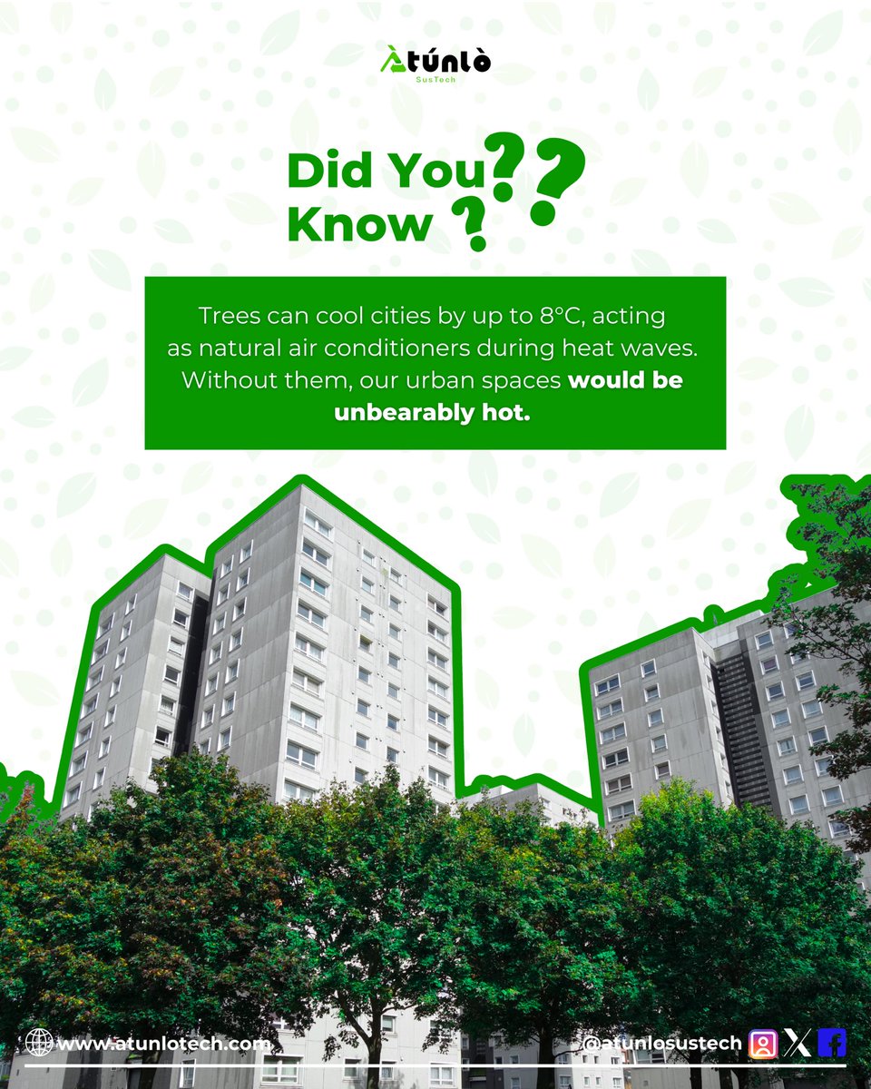 atunlosustech's tweet image. We need nature more than we admit.
Trees don’t just beautify the earth, they clean our air, reduce stress, lower temperatures, and support our immune systems.
Truth is, we can’t survive without them, so let's protect what protects us. 🌿🌍

#natureheals #treesforlife #GREEN