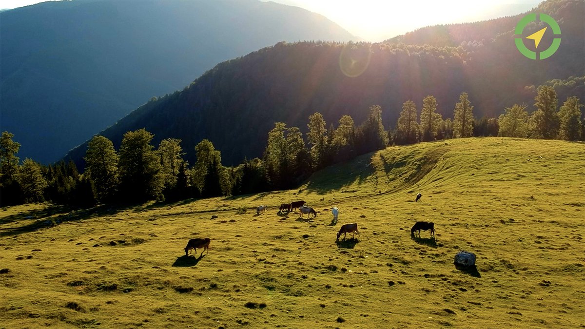 👨‍🌾Farmers lack proper insurance to face climate risks, says a recent #EAFRD report.

How can #financialinstruments and financial institutions work together to address this?

🎥Watch as experts explore solutions in our latest video: fi-compass.eu/videos/intervi…