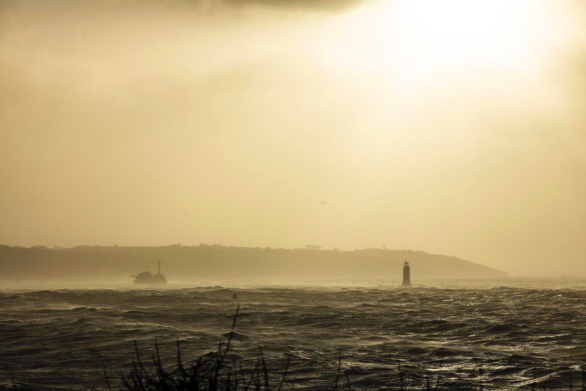 PlymUni's tweet image. Are sewage spills and coastal winds contributing to airborne microplastics? 🌬️😷
New study suggests sewage overflows and onshore aerosolising winds could be sending billions of airborne microplastic particles into the world’s coastal towns and cities 👇
plymouth.ac.uk/news/are-sewag…