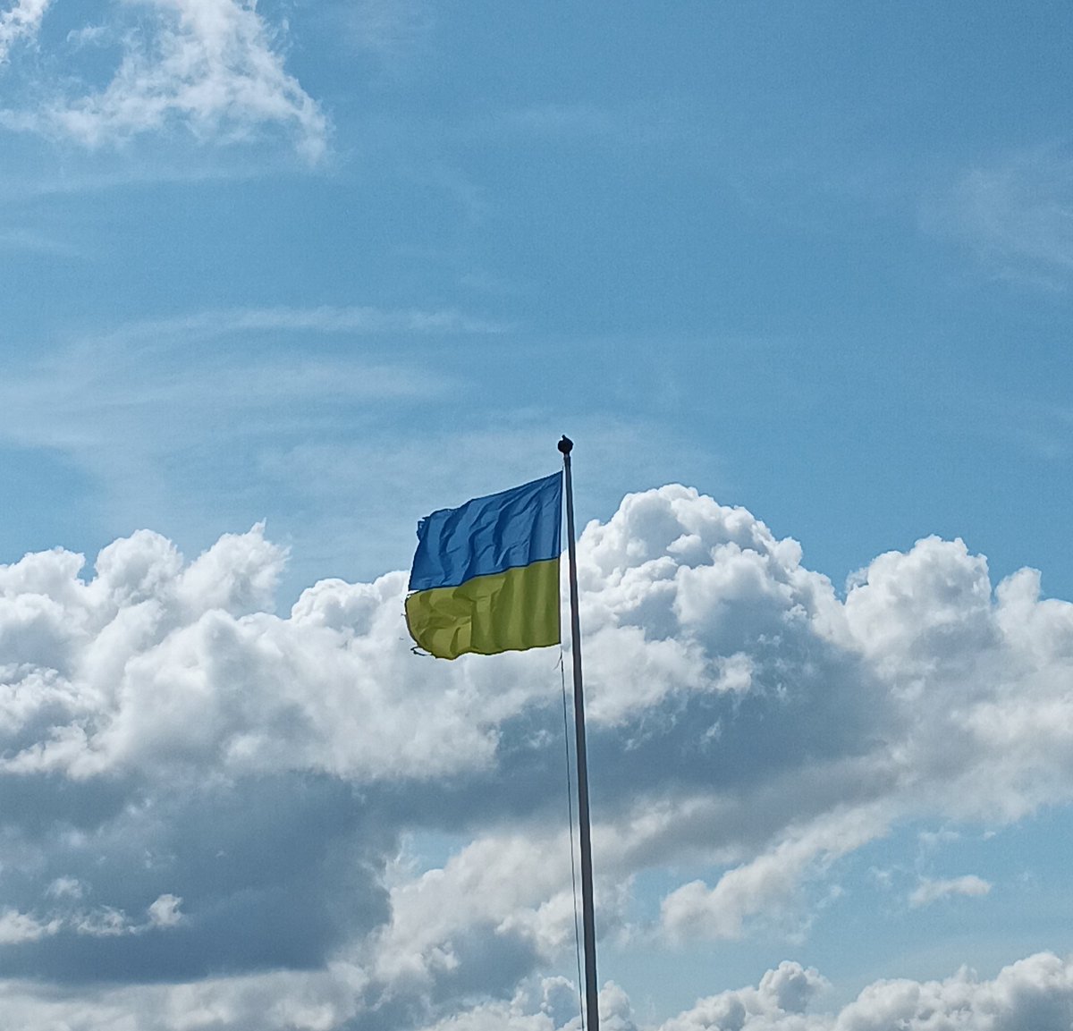 lena4berger's tweet image. The Ukrainian people will never surrender. And Putin will have to learn that the hard way.