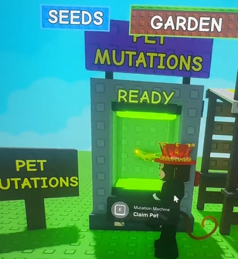 Grow a Garden 🍅 tweet media