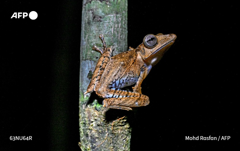 فرانس برس بالعربية tweet media