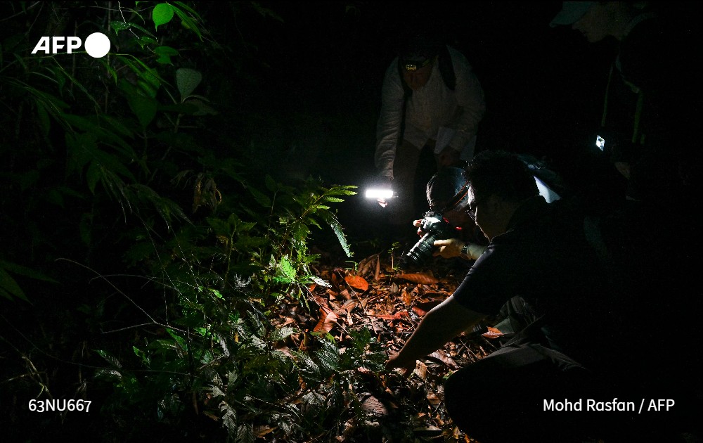 فرانس برس بالعربية tweet media