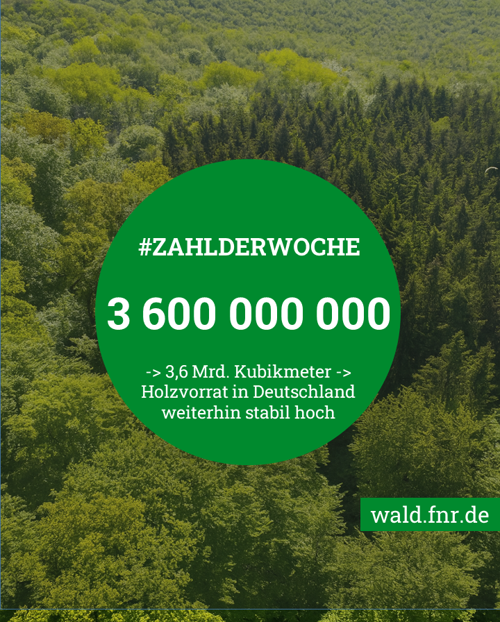 FNR (@fnr_ev) on Twitter photo #𝗭𝗮𝗵𝗹𝗱𝗲𝗿𝗪𝗼𝗰𝗵𝗲: 3,6 Mrd. m3 🪵🌲 🌳so groß ist der Holzvorrat in 🇩🇪. Die Waldentwicklungs- und Holzaufkommensmodellierung (WEHAM) des <a href="/BMLEH_Bund/">BMLEH Landwirtschaft · Ernährung · Heimat</a> schätzt das Rohholzpotenzial von 2023 bis 2062👉stabiles Rohholzpotenzial
wald.fnr.de/aktuelles/pres… #𝗭𝗮𝗵𝗹𝗱𝗲𝗿𝗪𝗼𝗰𝗵𝗲: 3,6 Mrd. m3 🪵🌲 🌳so groß ist der Holzvorrat in 🇩🇪. Die Waldentwicklungs- und Holzaufkommensmodellierung (WEHAM) des <a href="/BMLEH_Bund/">BMLEH Landwirtschaft · Ernährung · Heimat</a> schätzt das Rohholzpotenzial von 2023 bis 2062👉stabiles Rohholzpotenzial
wald.fnr.de/aktuelles/pres…