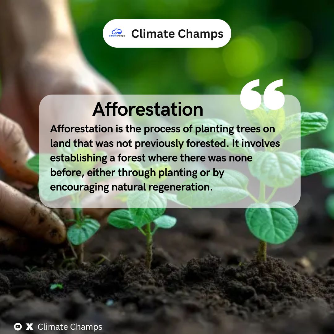 Afforestation is key to a greener future! It's the process of planting trees on land that wasn't previously forested, creating new forests or encouraging natural regeneration. Let's grow our planet back! 🌳 #Afforestation #ClimateAction #Reforestation