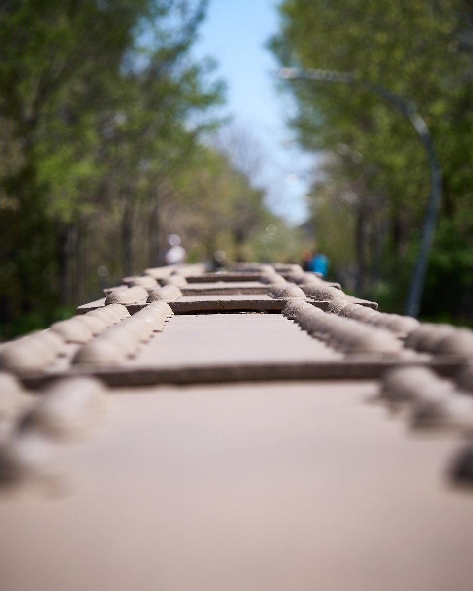 CascableApp's tweet photo. Cascable team member pick: “I love these industrial details surrounded by greenery – the joys of a city!”
#Cascable #CascableApp #photography
#macro #macrophotography #city
#nature #chicago #urbanphotography
#leadinglines #industrial #metal #metalwork https://t.co/WFTkEcZyZT