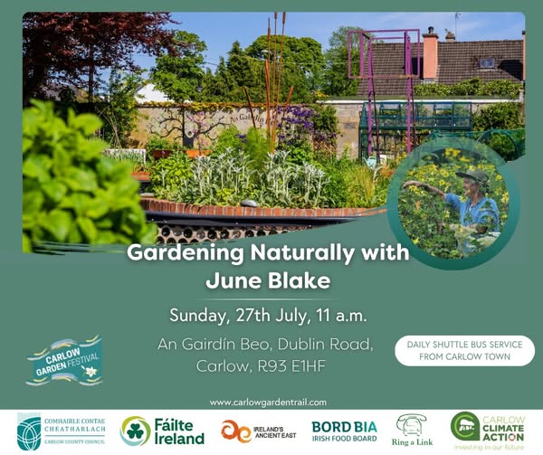 carlowtourism's tweet photo. 🌿Renowned plantswoman June Blake brings her unique insights to this year’s Carlow Garden Festival with a special workshop entitled Gardening Naturally, hosted at the community-driven An Gairdín Beo. Known for her innovative and organic approach to gardening at her celebrated garden in County Wicklow, June will share practical perspectives on working in harmony with nature.

Date: Sunday 27th July, 11 a.m.
Venue: An Gairdín Beo, Dublin Road, Carlow R93 E1HF
Admission: €12.50

👉Book your place now: https://t.co/46FB9I7We4

For many years, June’s garden has thrived without the use of sprays or chemicals, encouraging biodiversity and balance in a setting where birds, insects and plants co-exist naturally. Rather than striving for perfection, June advocates for tolerance of harmless weeds and careful plant selection to avoid persistent pests such as vine weevil. With a deep respect for the natural rhythms of the garden, her paths are hand-weeded occasionally and wild areas are managed rather than controlled.

During this workshop, June will also address effective, chemical-free methods of managing invasive weeds such as bindweed and ground elder—issues familiar to many gardeners. This talk reflects the ethos of An Gairdin Beo, a living community garden that celebrates sustainability, biodiversity and wellbeing. Expect to leave inspired to adopt a more mindful, natural approach to gardening your own space!

@Carlow_Co_Co @Failte_Ireland @Bordbia
#WanderOffTheTrack #CarlowGardenFestival #tourismireland #carlow #carlowtourism #irelandsancienteast #discoverireland #tourismireland #carlowcation