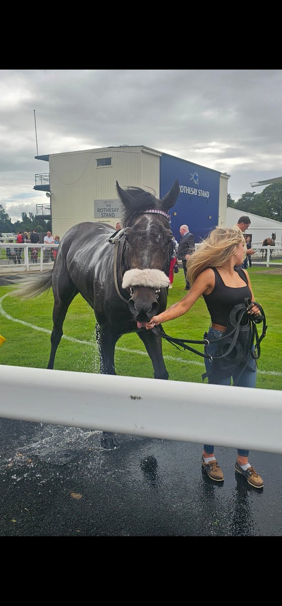 Mike Parcej (@mikeparcej) on Twitter photo Next, the second win this year for Capla Lazarus, back at his level and back in front, beating Magellan Cloud, for <a href="/MickEasterby/">Michael & David Easterby Racing</a> and Billy Garritty. First time with a hood on, possibly a help but certainly a drop in class from last time saw him back in front. A genuine gelding. Next, the second win this year for Capla Lazarus, back at his level and back in front, beating Magellan Cloud, for <a href="/MickEasterby/">Michael & David Easterby Racing</a> and Billy Garritty. First time with a hood on, possibly a help but certainly a drop in class from last time saw him back in front. A genuine gelding.