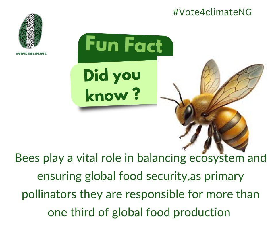 Vote4ClimateNG's tweet image. Bees are the backbone of our ecosystem, they are agents of pollination that contribute to our food security.
Let us protect these mighty heroes as they provide food for All.
#vote4climate #vote4climateNG #AACJ #Bee4food
#Biodiversity