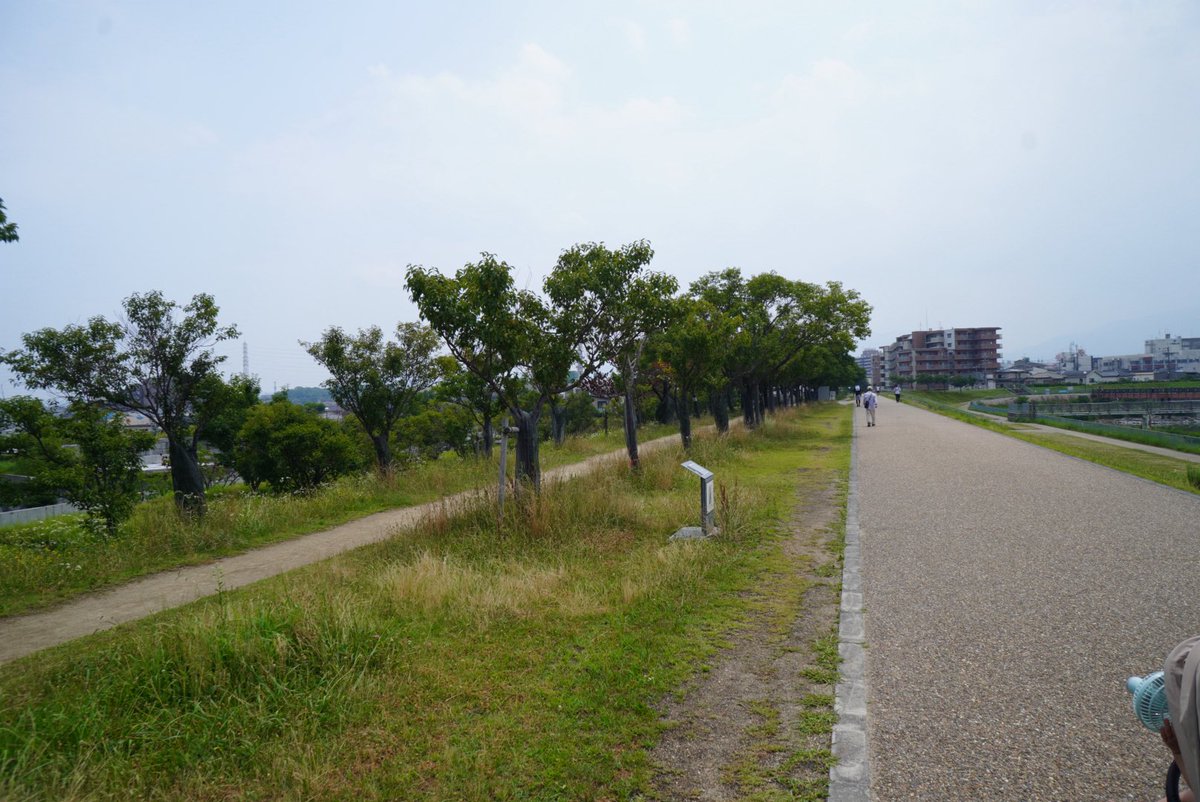 moppu0514's tweet photo. #カメラ好き #カメラ好きな人と繋がりたい #青空 #緑 #散歩 #フォローしてください #いいねお願いします #OLYMPUS #EPL1
いつも何呟けば良いのか分からんなるなぁ https://t.co/xW3FrmwyUA