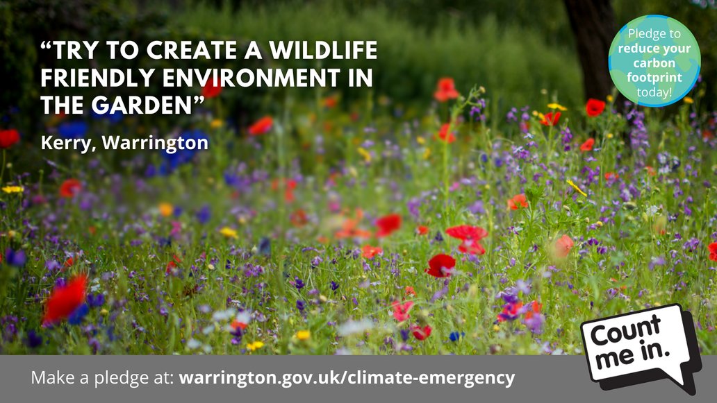 🐝🌱 Kerry is making her garden a haven for wildlife by planting pollinator-friendly flowers and leaving wild patches. 

Small, greener changes make a big difference. Could you do the same?

Find out more: orlo.uk/sKh4q