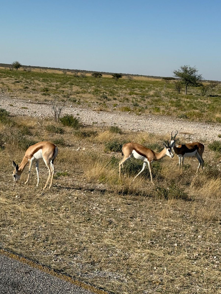 TeProD_Project's tweet photo. TeProD 2.0
#TeProD #Twintransition #Ulysseus #EUfunded
Our visits to some of Swakopmund's breathtaking sites offered more than just a glimpse into Namibia’s rich history and beautiful landscapes - they created shared moments that have strengthened our partnership https://t.co/a5YZjiCIME