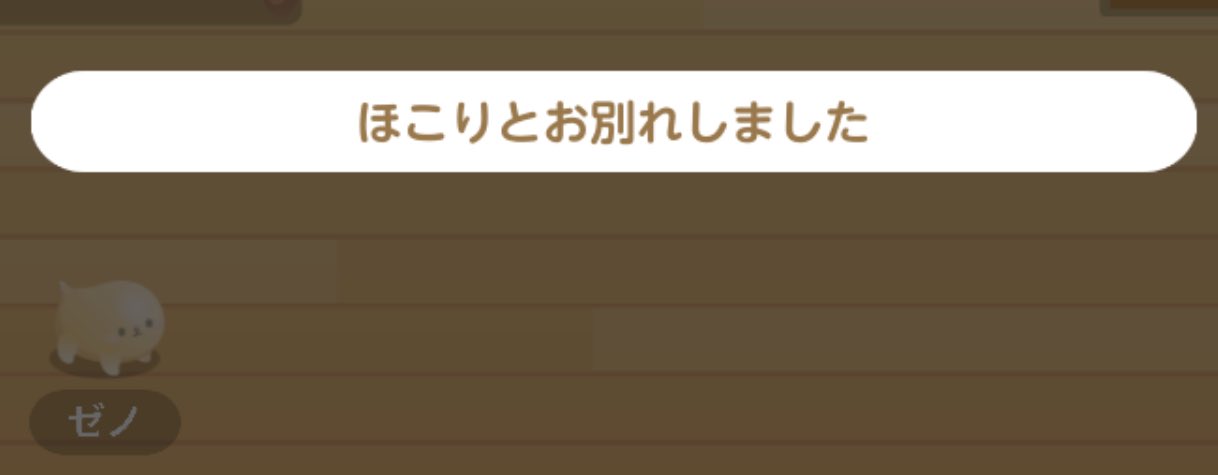 にゃあゴ❤(ӦｖӦ。)♡13点 蒼ねこ on X: 